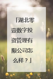 湖北零壹数字投资管理有限公司怎么样？