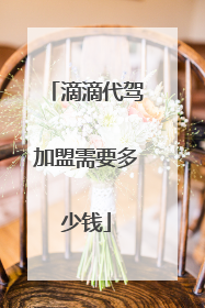 滴滴代驾加盟需要多少钱