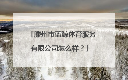 滕州市蓝鲸体育服务有限公司怎么样？