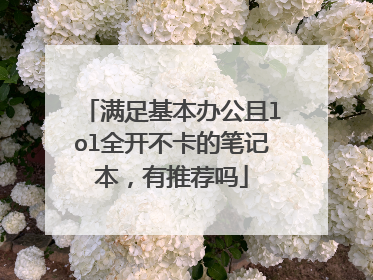 满足基本办公且lol全开不卡的笔记本，有推荐吗