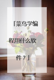 菜鸟学编程用什么软件？