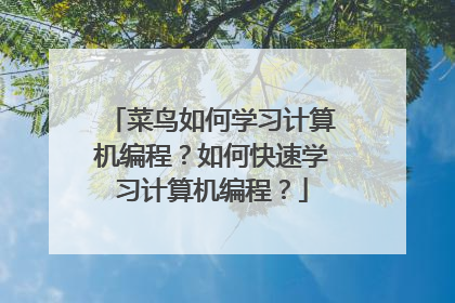 菜鸟如何学习计算机编程?如何快速学习计算机编程?