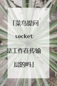 菜鸟提问 socket是工作在传输层的吗