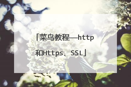 菜鸟教程——http和Https、SSL