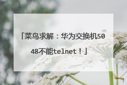 菜鸟求解:华为交换机5048不能telnet!