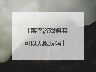 菜鸟游戏购买可以无限玩吗
