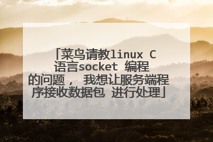 菜鸟请教linux C 语言socket 编程的问题， 我想让服务端程序接收数据包 进行处理