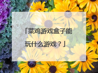 菜鸡游戏盒子能玩什么游戏?