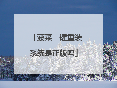 菠菜一键重装系统是正版吗