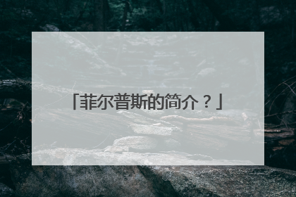 菲尔普斯的简介？