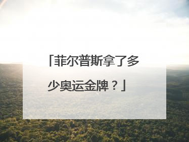 菲尔普斯拿了多少奥运金牌？