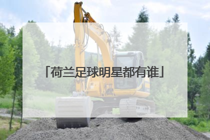 荷兰足球明星都有谁