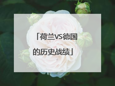 荷兰VS德国的历史战绩