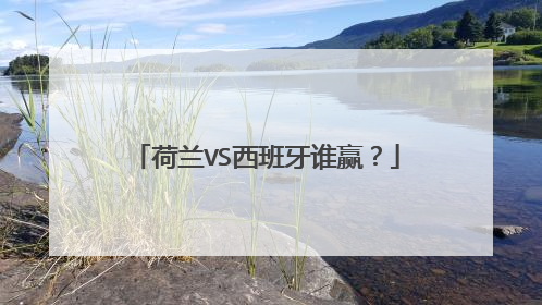 荷兰VS西班牙谁赢？