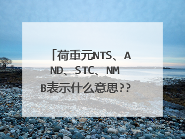 荷重元NTS、AND、STC、NMB表示什么意思??求高手指导,是品牌缩写还是什么??