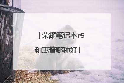 荣耀笔记本r5和惠普哪种好