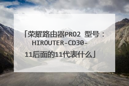 荣耀路由器PRO2 型号：HIROUTER-CD30-11后面的11代表什么