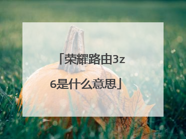 荣耀路由3z6是什么意思