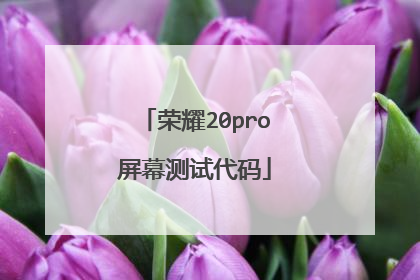 荣耀20pro屏幕测试代码