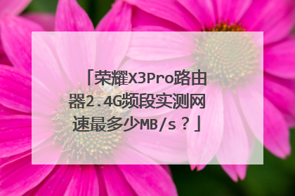 荣耀X3Pro路由器2.4G频段实测网速最多少MB/s？