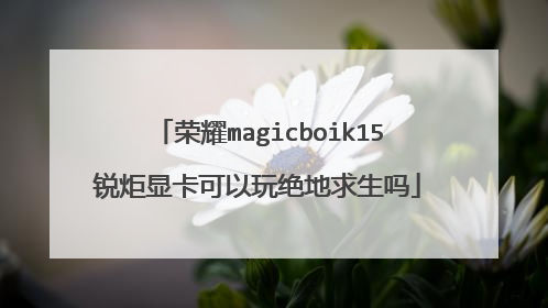 荣耀magicboik15锐炬显卡可以玩绝地求生吗