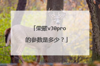 荣耀v30pro的参数是多少?