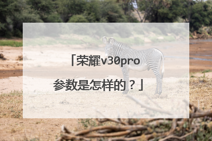 荣耀v30pro参数是怎样的？