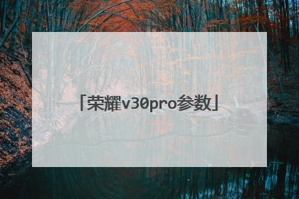 荣耀v30pro参数