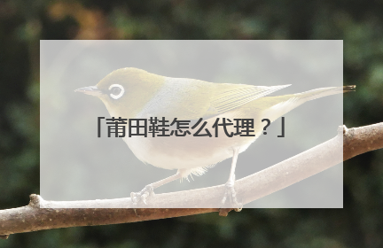 莆田鞋怎么代理？