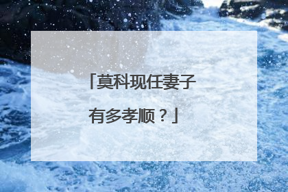 莫科现任妻子有多孝顺？