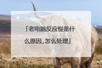老电脑反应慢是什么原因,怎么处理