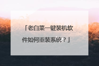 老白菜一键装机软件如何重装系统？