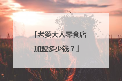 老婆大人零食店加盟多少钱?