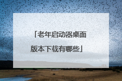 老年启动器桌面版本下载有哪些