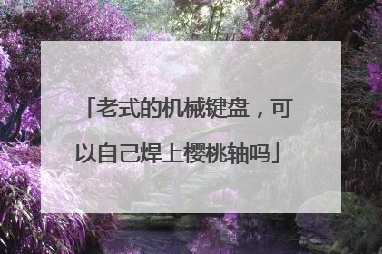 老式的机械键盘,可以自己焊上樱桃轴吗