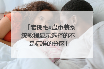 老桃毛u盘重装系统教程显示选择的不是标准的分区