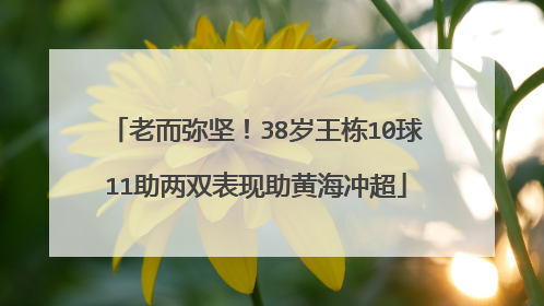 老而弥坚！38岁王栋10球11助两双表现助黄海冲超