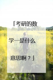 考研的数学一是什么意思啊?