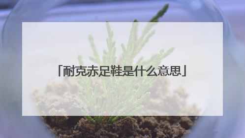 耐克赤足鞋是什么意思
