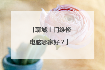 聊城上门维修电脑哪家好?