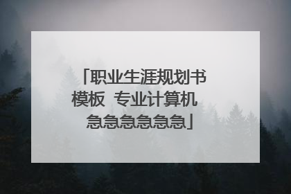职业生涯规划书模板 专业计算机 急急急急急急