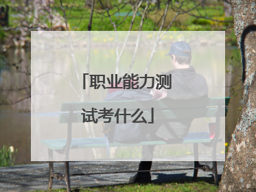 职业能力测试考什么