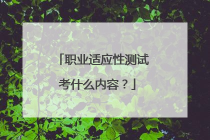 职业适应性测试考什么内容?