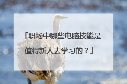 职场中哪些电脑技能是值得新人去学习的?