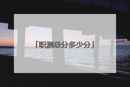 职测总分多少分