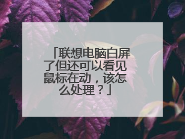 联想电脑白屏了但还可以看见鼠标在动，该怎么处理？