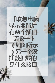 联想电脑显示器背后有两个插口 请教一下(如图所示)另一个没插数据线的是什么接口 有什么用处 ?