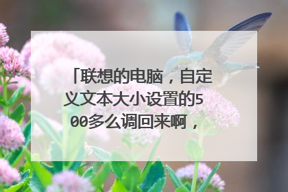 联想的电脑，自定义文本大小设置的500多么调回来啊，很多图标什么的都