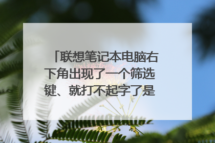 联想笔记本电脑右下角出现了一个筛选键、就打不起字了是怎么回事?