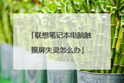 联想笔记本电脑触摸屏失灵怎么办
